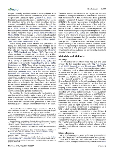 ファイル:Sato eNeuro.pdf