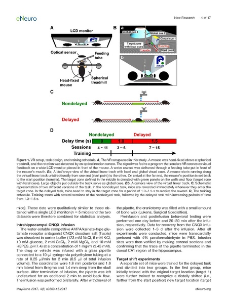 ファイル:Sato eNeuro.pdf