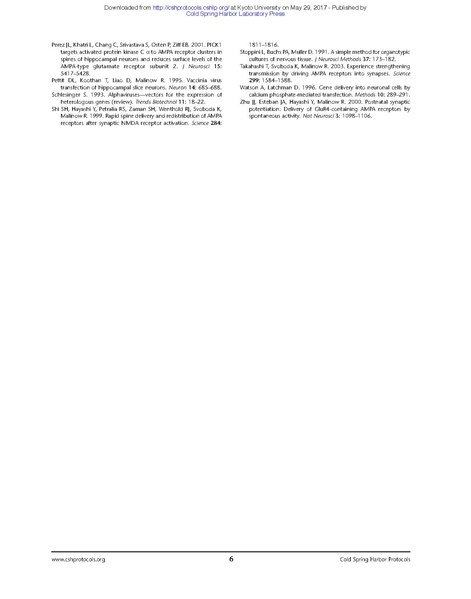 ファイル:Malinow Imaging Living Cells.pdf