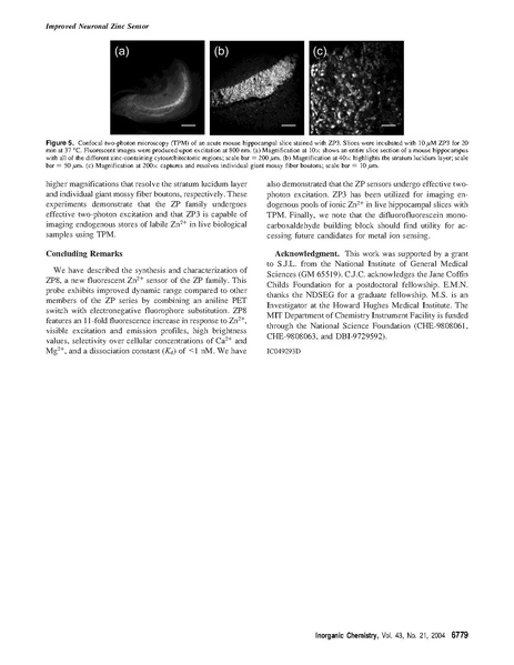 ファイル:Chang Inorg Chem.pdf
