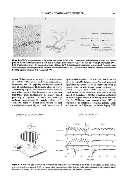 ファイル:Nakanishi Cold Spring Harb Symp Quant Biol.pdf
