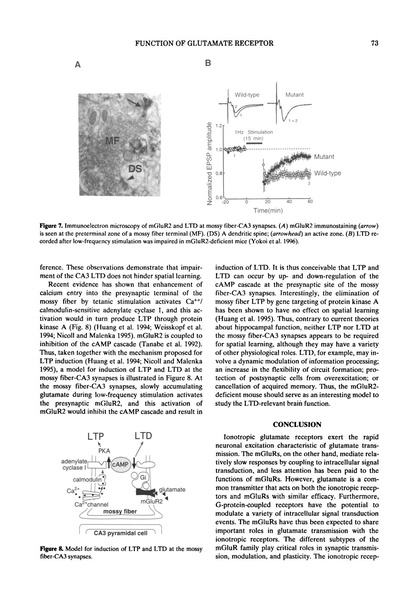 ファイル:Nakanishi Cold Spring Harb Symp Quant Biol.pdf