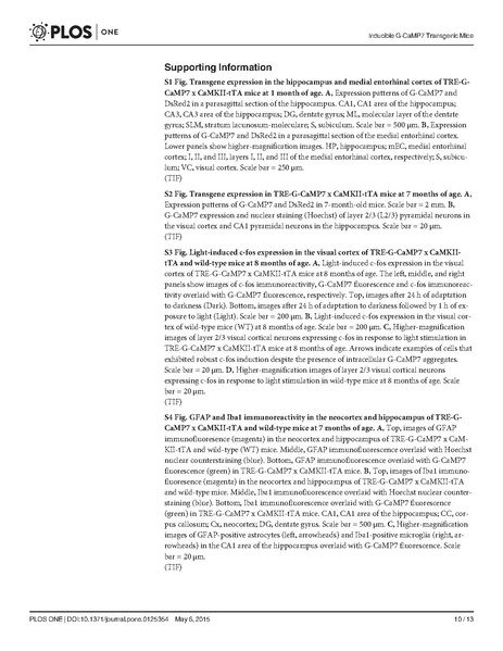 ファイル:Sato PLOS One.pdf