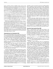 次のページ →