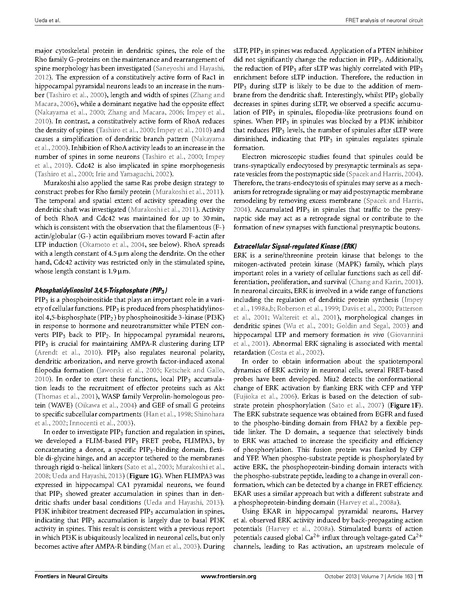 ファイル:Ueda Front Neural Circuits.pdf