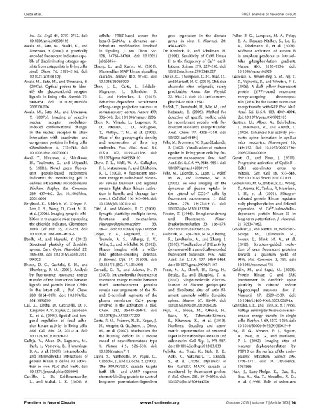 ファイル:Ueda Front Neural Circuits.pdf