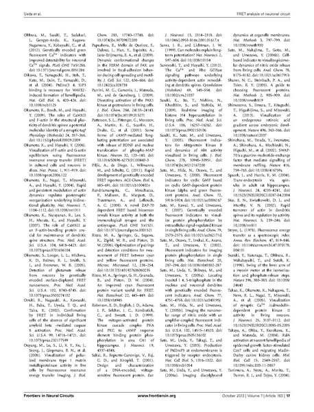 ファイル:Ueda Front Neural Circuits.pdf