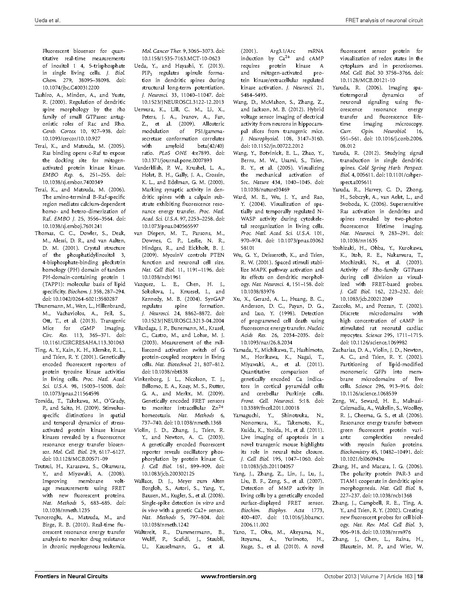 ファイル:Ueda Front Neural Circuits.pdf