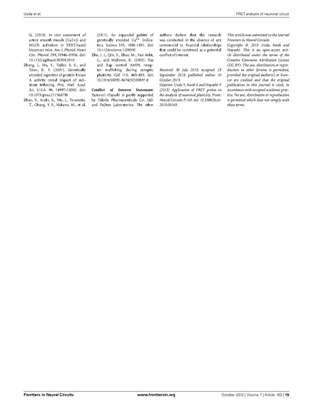 ファイル:Ueda Front Neural Circuits.pdf