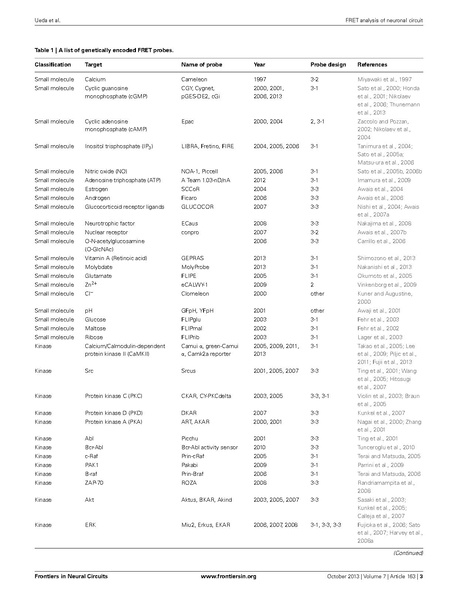 ファイル:Ueda Front Neural Circuits.pdf