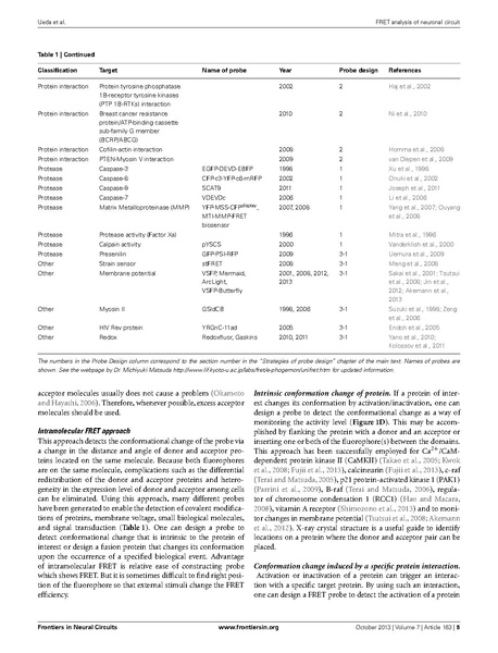 ファイル:Ueda Front Neural Circuits.pdf