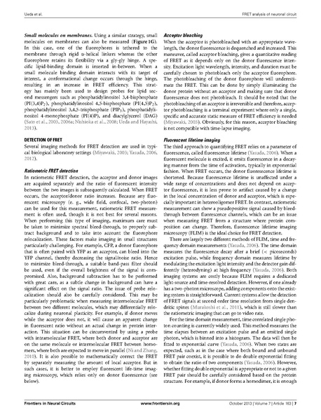 ファイル:Ueda Front Neural Circuits.pdf