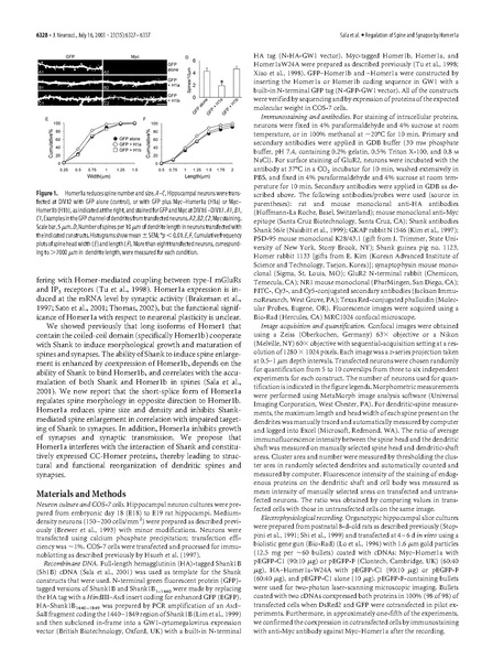 ファイル:Sala J Neurosci.pdf