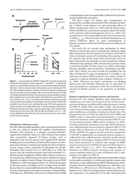 ファイル:Sala J Neurosci.pdf