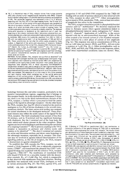 ファイル:Hirata Nature.pdf