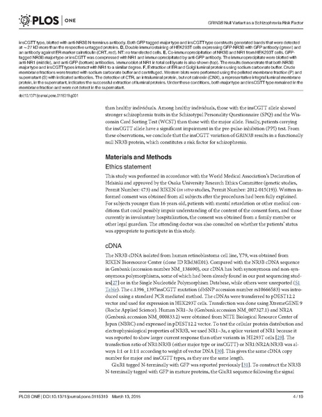 ファイル:Matsuno PLOS One.pdf