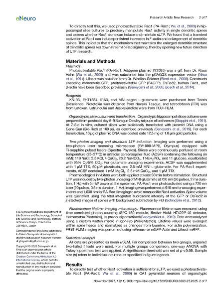 ファイル:Saneyoshi eNeuro 2025.pdf