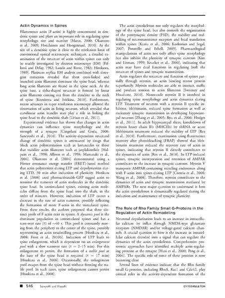 ファイル:Saneyoshi Cytoskeleton.pdf