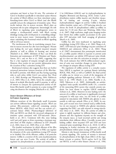 ファイル:Saneyoshi Cytoskeleton.pdf