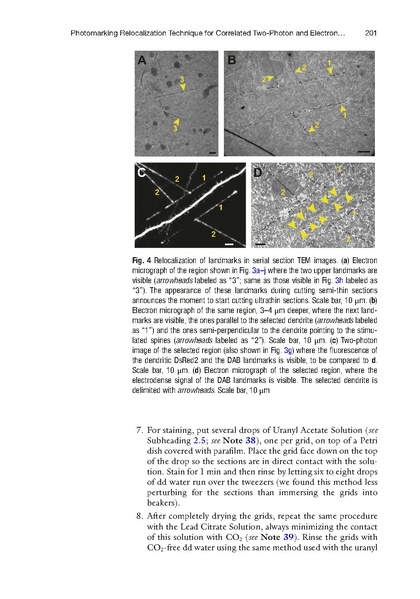 ファイル:Bosch Methods Mol Biol.pdf