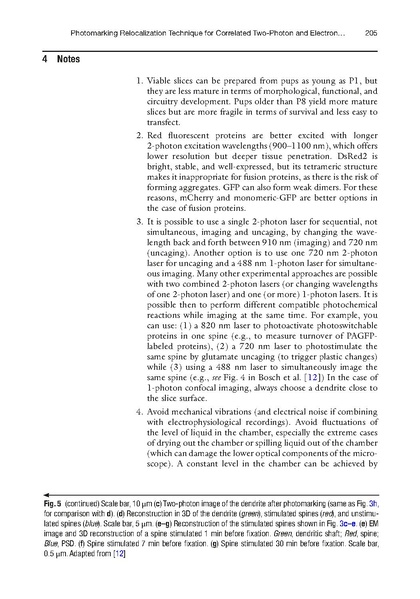 ファイル:Bosch Methods Mol Biol.pdf