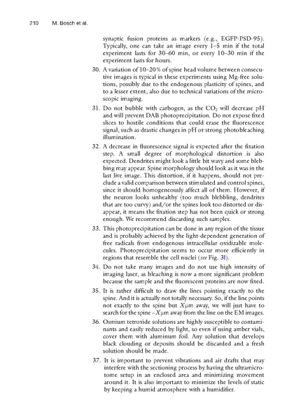 ファイル:Bosch Methods Mol Biol.pdf