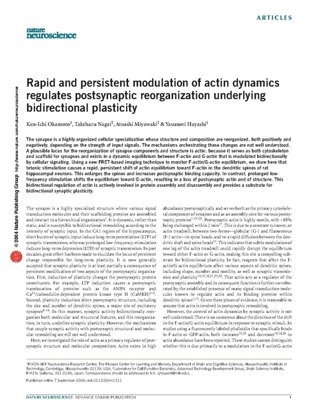 ファイル:Okamoto Nat Neurosci.pdf