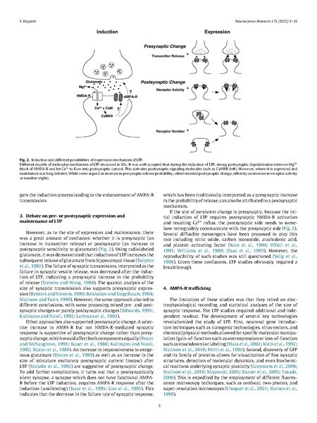 ファイル:Hayashi Neurosci Res 2022.pdf