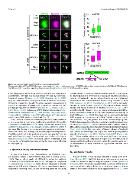 ファイル:Hayashi Neurosci Res 2022.pdf