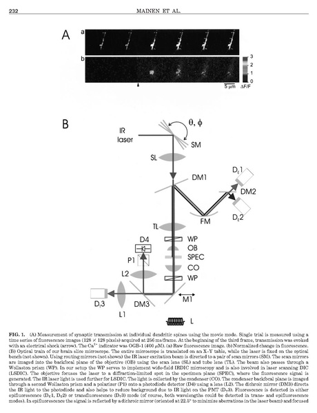 ファイル:Mainen Methods.pdf