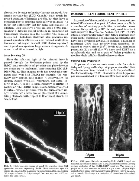 ファイル:Mainen Methods.pdf