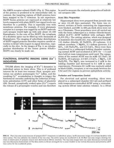 ファイル:Mainen Methods.pdf