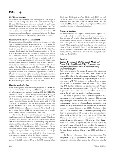 ファイル:Martinez-Lozada Glia.pdf
