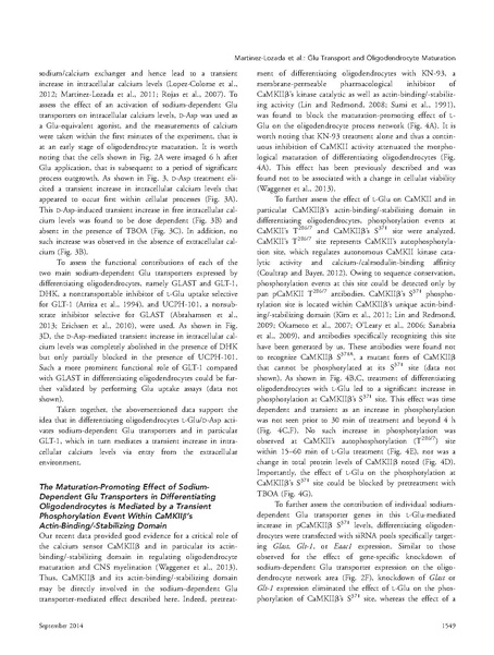 ファイル:Martinez-Lozada Glia.pdf