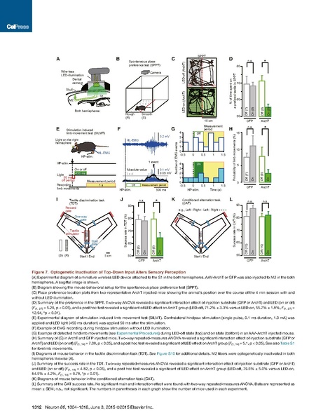 ファイル:Manita Neuron.pdf
