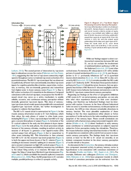 ファイル:Manita Neuron.pdf