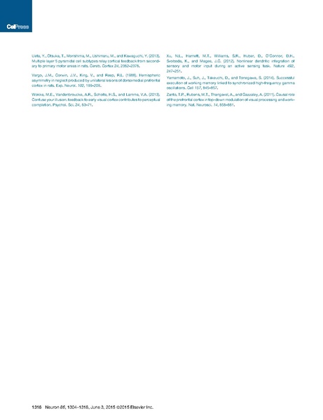 ファイル:Manita Neuron.pdf