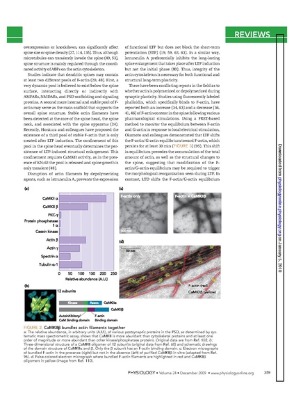 ファイル:Okamoto Physiol.pdf