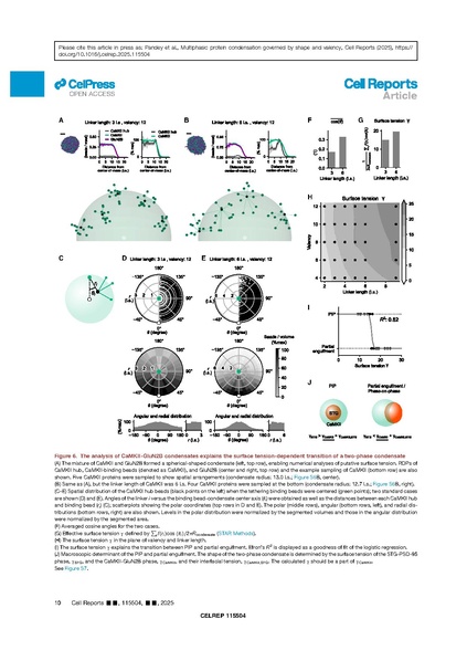 ファイル:Vikas Cell Rep 2025.pdf