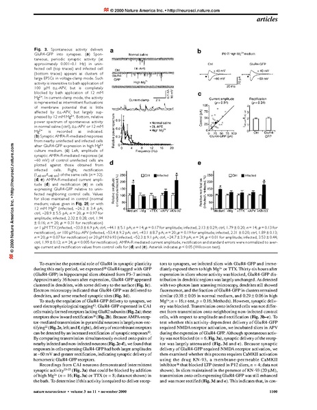 ファイル:Zhu Nature Neurosci.pdf