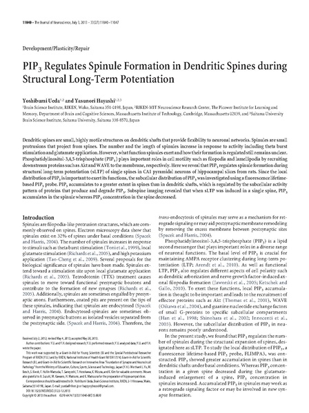 ファイル:Ueda J Neurosci.pdf