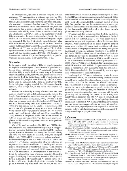 ファイル:Ueda J Neurosci.pdf