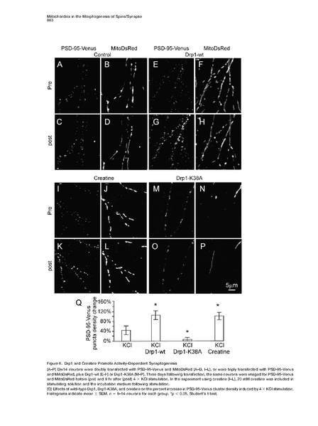 ファイル:Li Cell.pdf