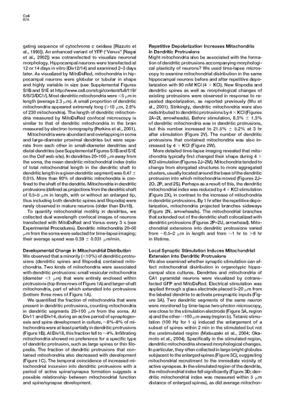 ファイル:Li Cell.pdf