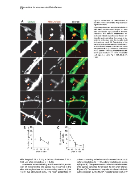 ファイル:Li Cell.pdf
