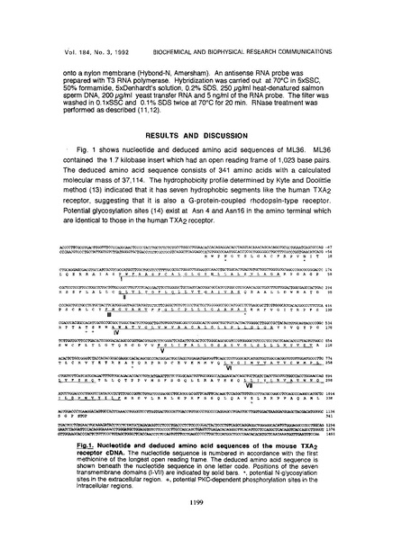 ファイル:Namba Biochem Biophys Res Comm.pdf