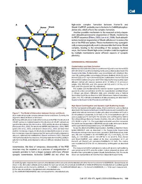 ファイル:Hayashi cell.pdf