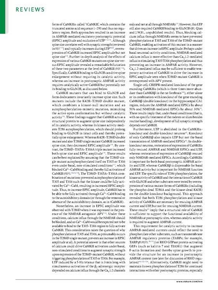 ファイル:Yasuda Nat Rev Neurosci 2022.pdf