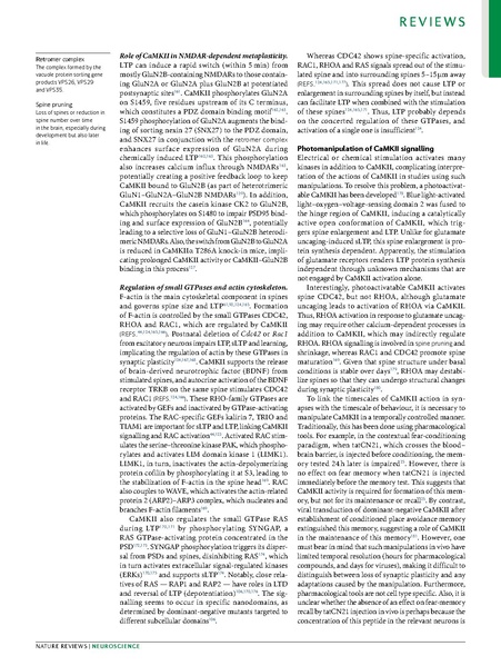 ファイル:Yasuda Nat Rev Neurosci 2022.pdf