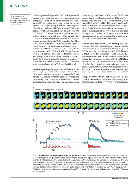 ファイル:Yasuda Nat Rev Neurosci 2022.pdf